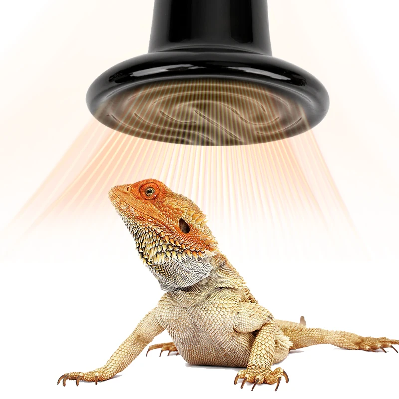 Lâmpada de Aquecimento de Cerâmica para Répteis 220V E27 - Image 5