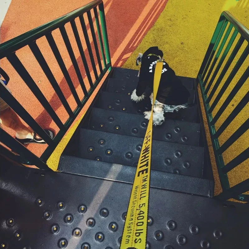 coleira e guia para cães de nylon