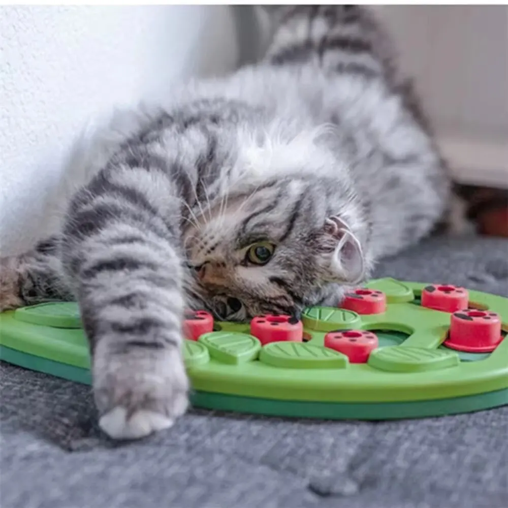 Brinquedo Quebra-Cabeça para Gatos de Plástico com Dificuldade Ajustável - Imagem 4