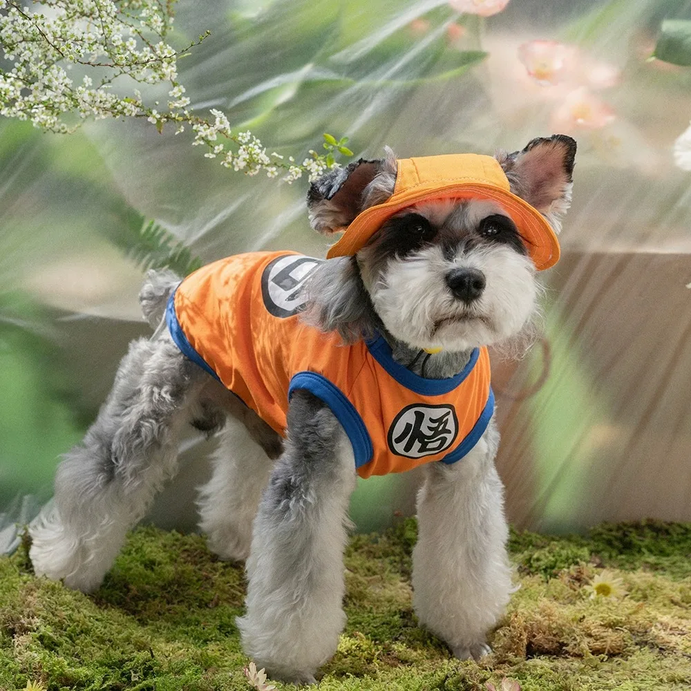 colete para cães e gatos pequenos