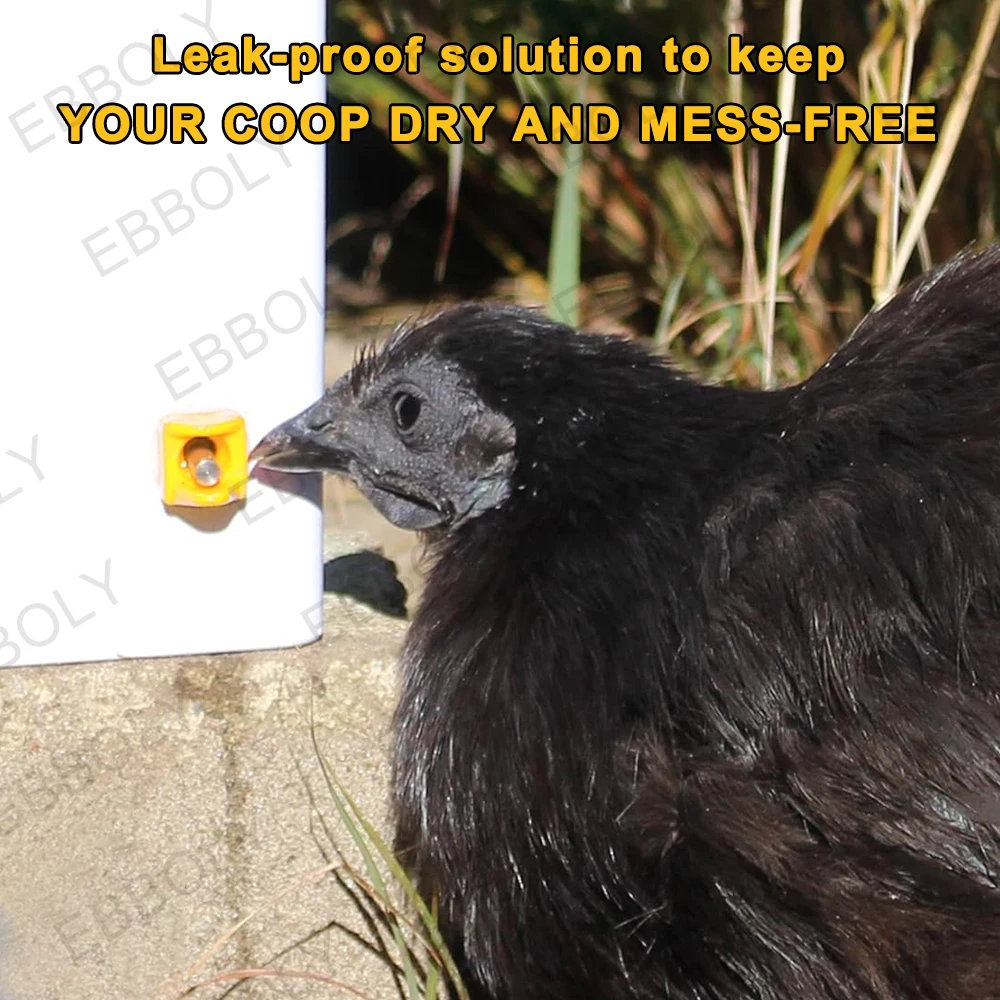 Bebedouro Niple para Aves com Design Anti Vazamento e Fácil Instalação - Imagem 5