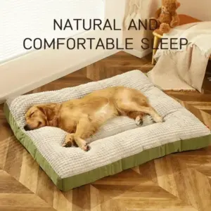 cama sofá para cães com capa removível