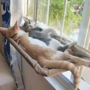 cama de rede para gatos de janela