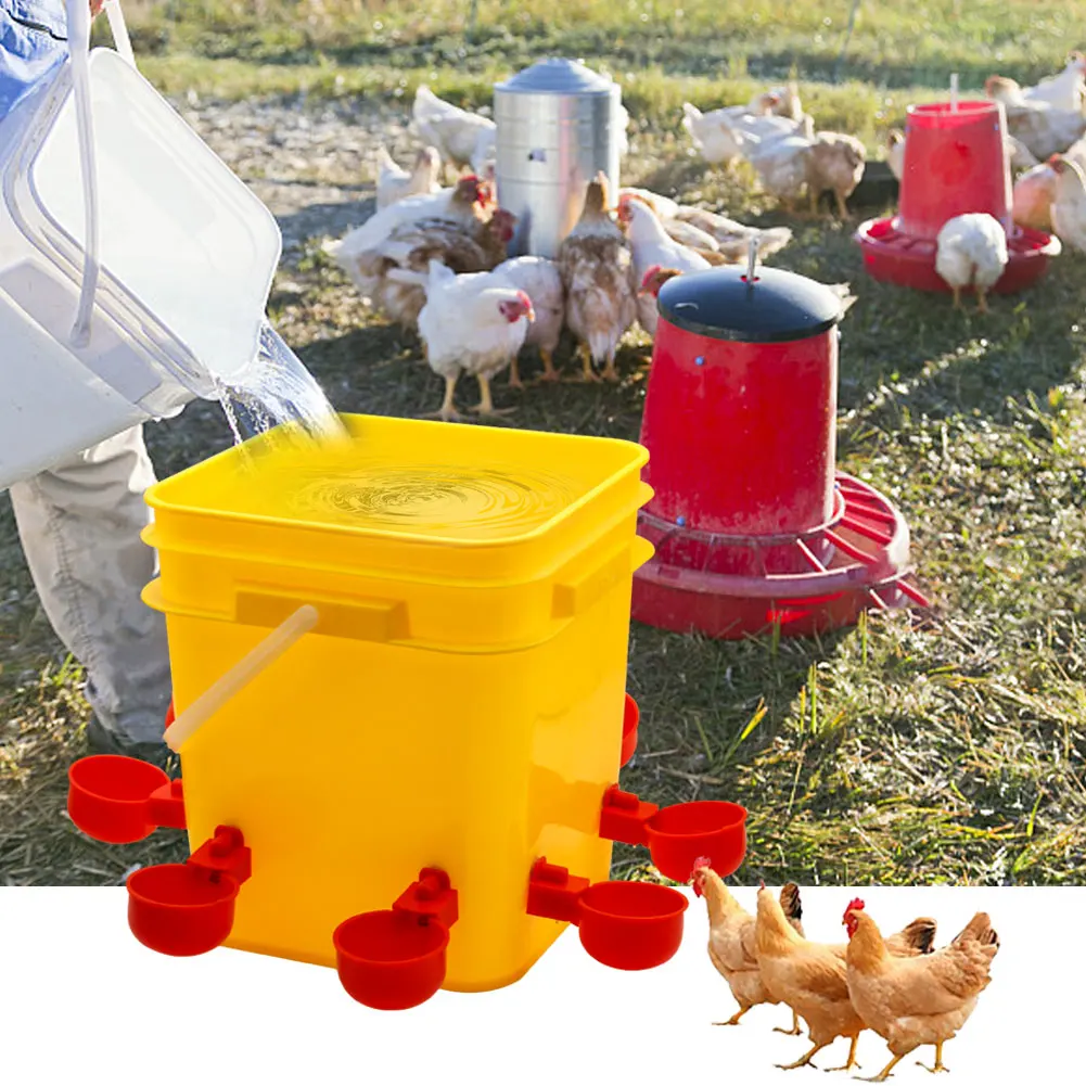 Kit Bebedouro Automático para Aves de Capoeira 10L com 8 Copos - Imagem 2