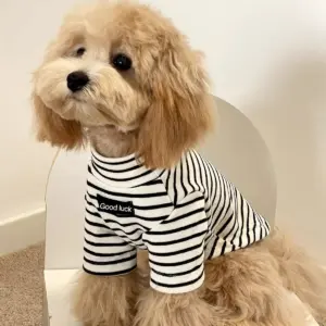 camisa térmica para cães pequenos