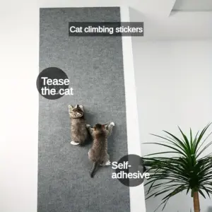 almofada de arranhar para gatos de parede