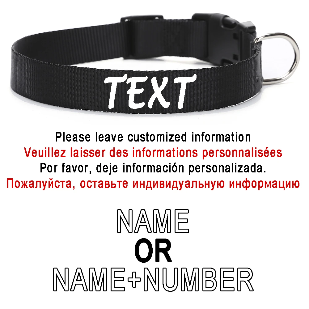 Coleira Personalizada para Cães de Nylon com Nome e Telefone - Image 2