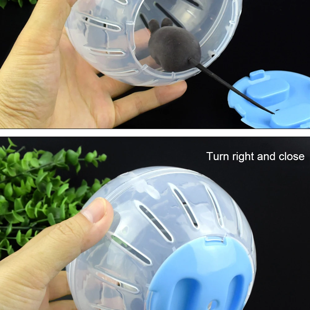 Bola de Exercício para Hamster e Roedores 10cm Plástico Lavável - Imagem 6