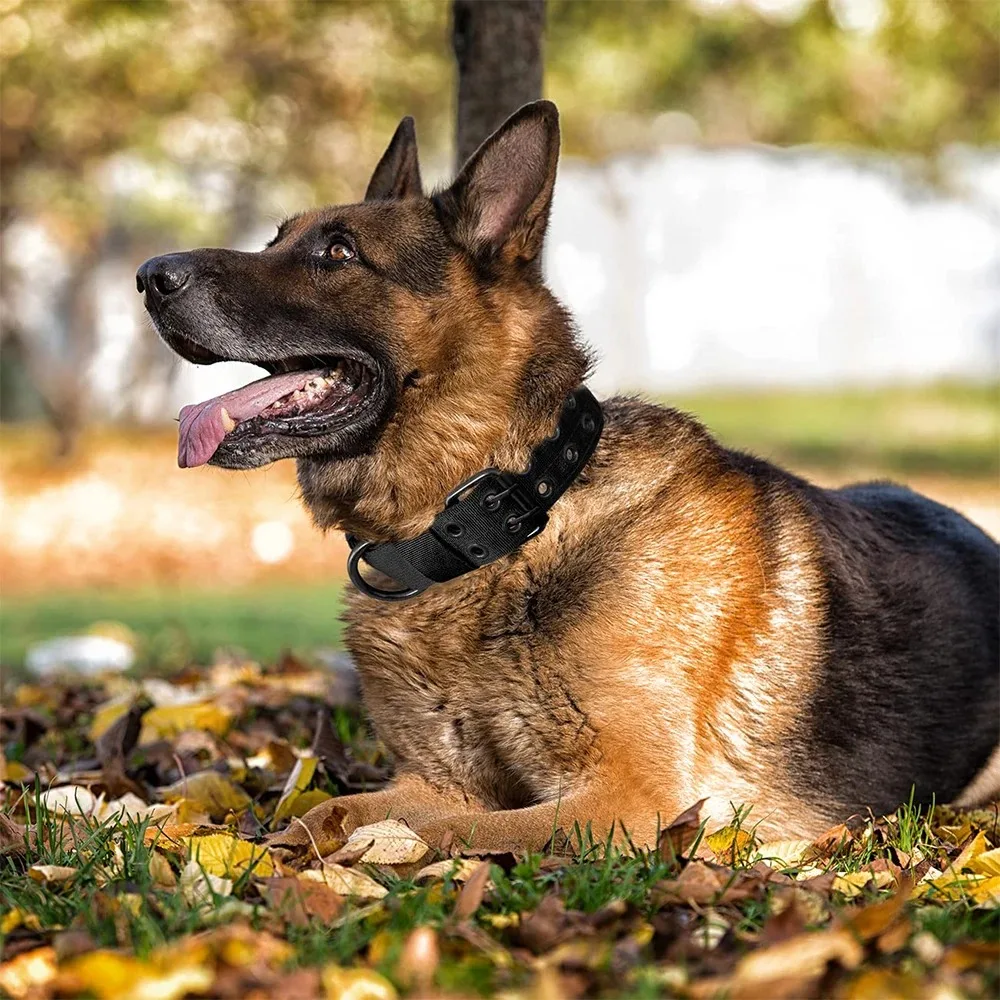 Coleira Tática para Cães Grandes de Nylon 1000D com Fivela Ajustável - Imagem 6