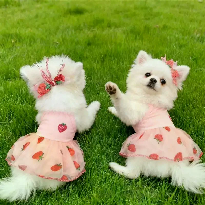 Vestido para Cães e Gatos de Poliéster Estampa Morango Sem Mangas - Imagem 5