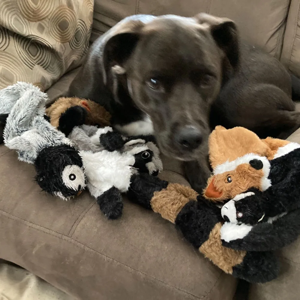 Brinquedo de Pelúcia para Cães sem Enchimento com Rangido - Imagem 5