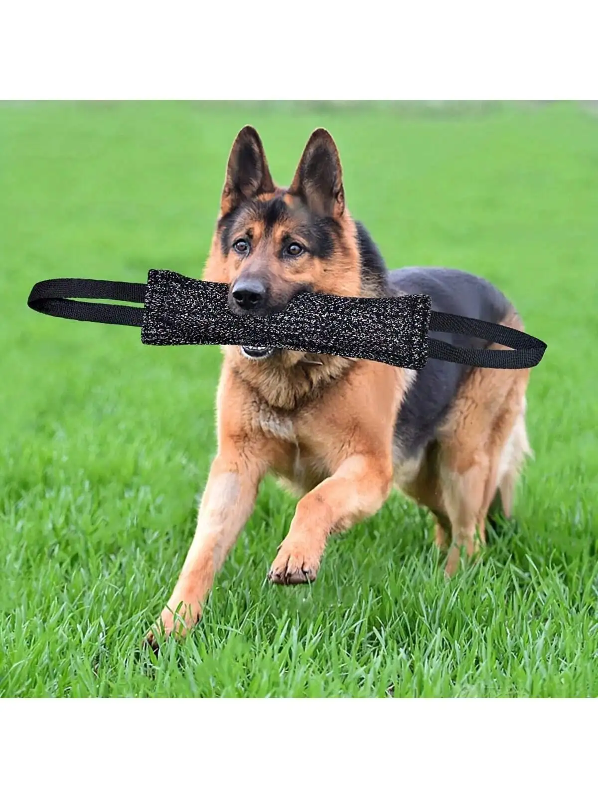 brinquedo tug para cães