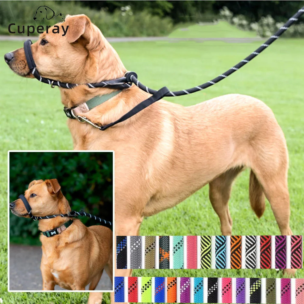 coleira guia para cães de nylon refletiva