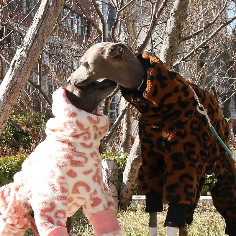 Macacão de Pelúcia para Cães Whippet com Gola Alta e 4 Patas - Image 4
