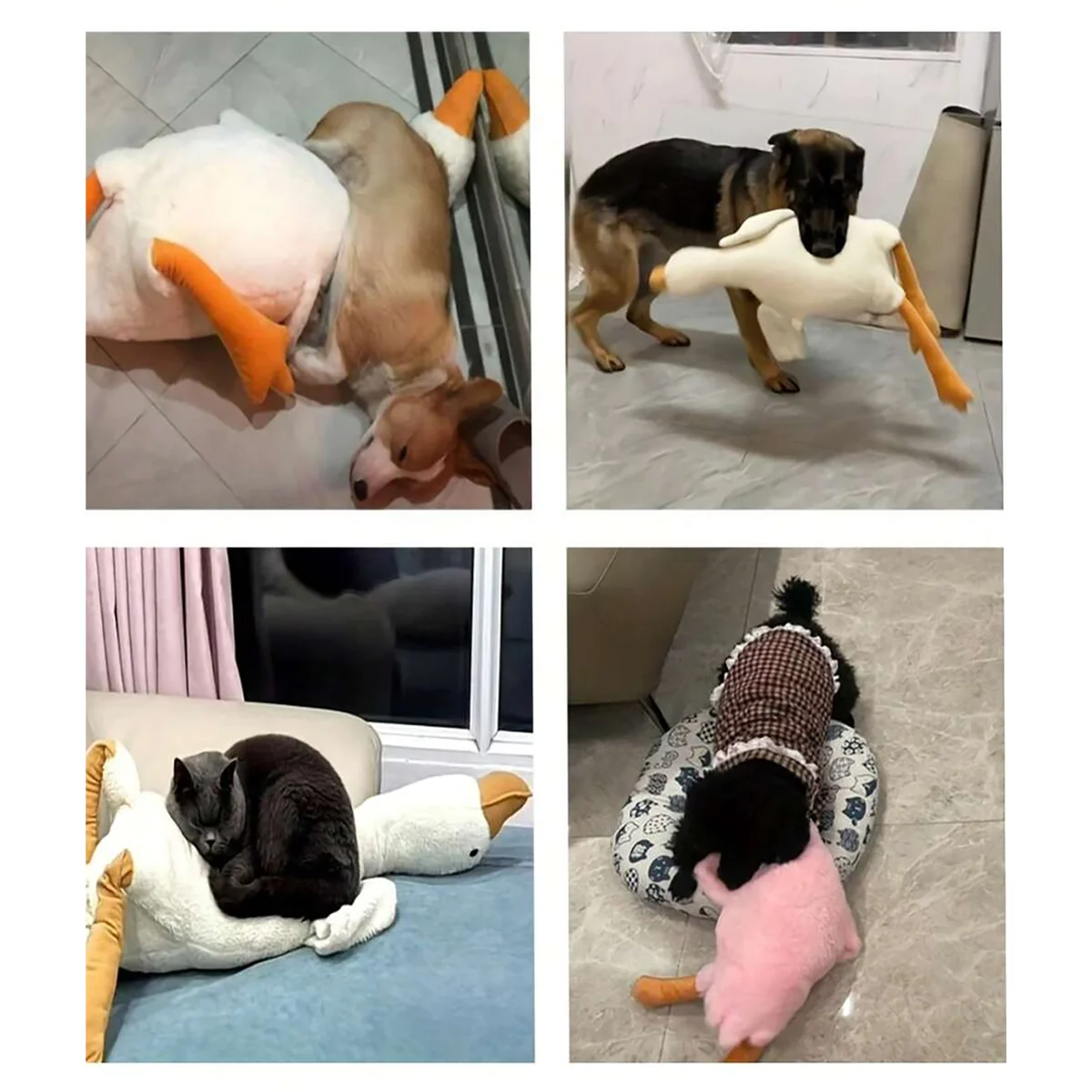Kit Brinquedos de Pelúcia para Gatos e Cães Pequenos/Médios Interativo - Image 5