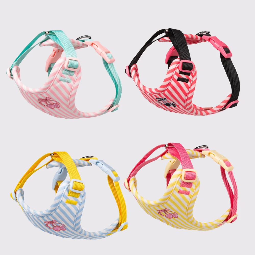 Coleira e Guia para Cães Pequenos com Design Estampado - Imagem 5