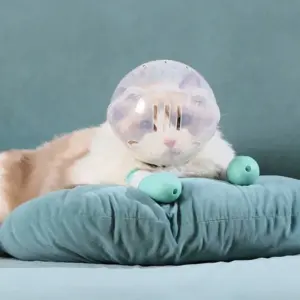 focinheira para gatos com fivela ajustável