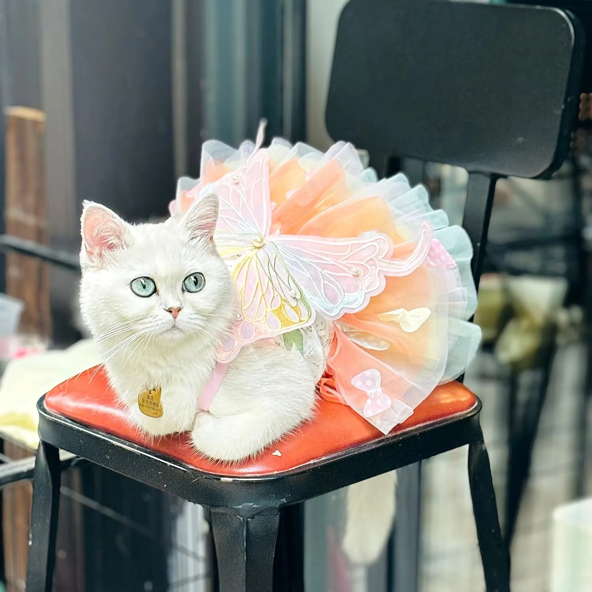 Vestido de Princesa para Cães Pequenos de Poliéster com Renda - Imagem 6