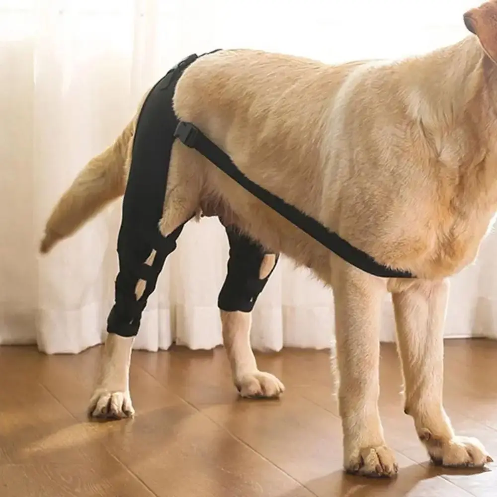 Suporte de Perna para Cães com Alça Ajustável - Imagem 3