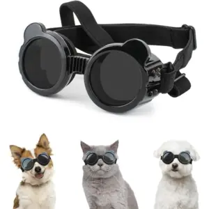 óculos de sol para cães e gatos