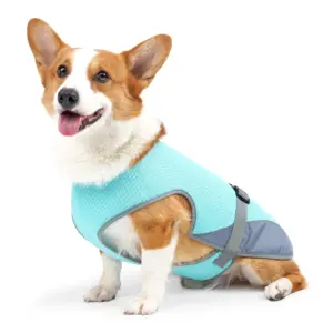 colete de resfriamento para cães
