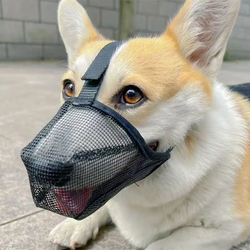 Focinheira para Cães com Malha Respirável Grade Grande - Image 5