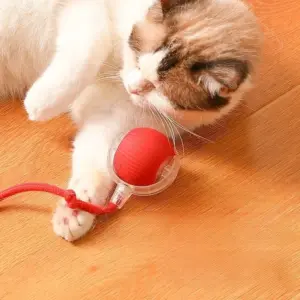 brinquedo bola rolante para gatos e cães recarregável