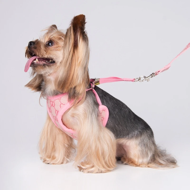 Conjunto Coleira e Guia para Cães Pequenos Malha Respirável Rosa - Image 6