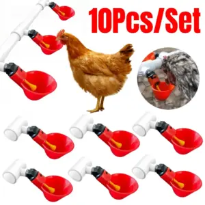 bebedouro automático para aves