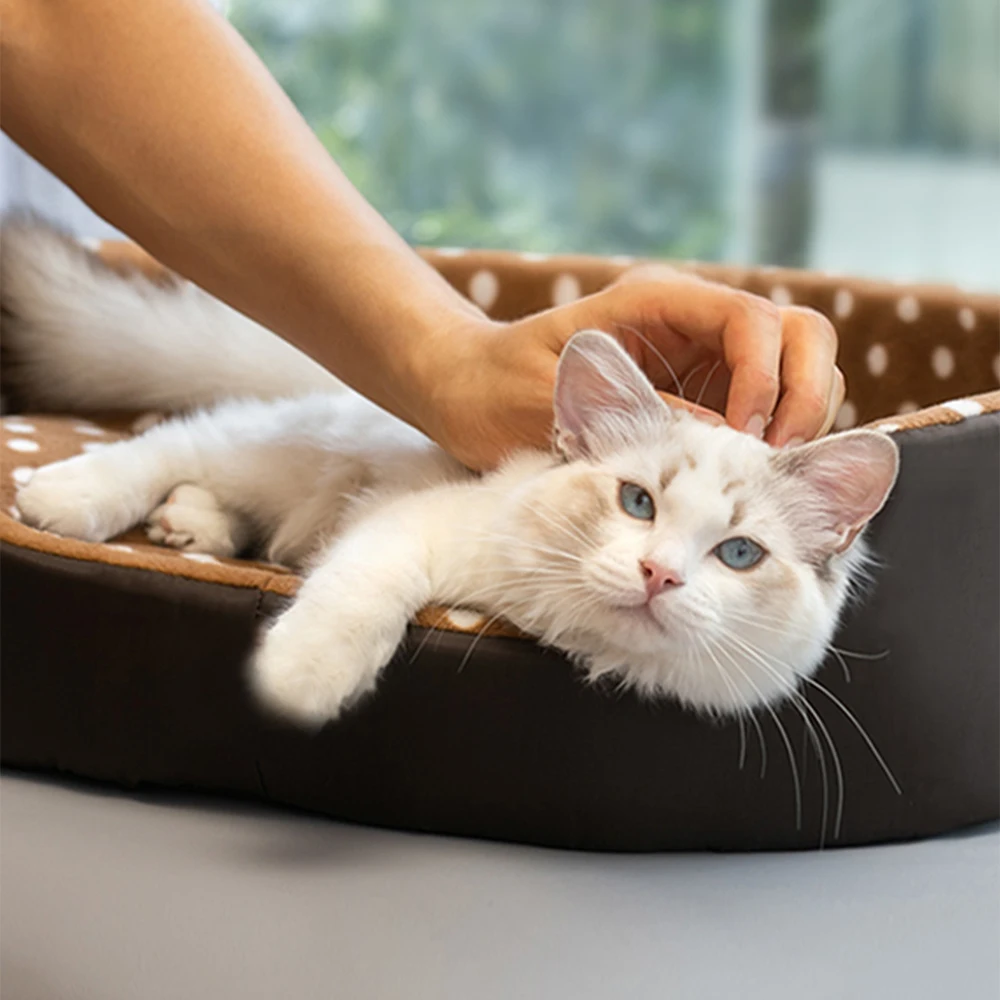 Cama Quadrada para Gatos e Cães Pequenos com Almofada Removível - Image 2