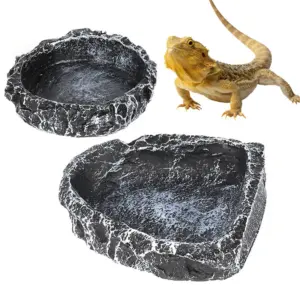 tigela de água para répteis