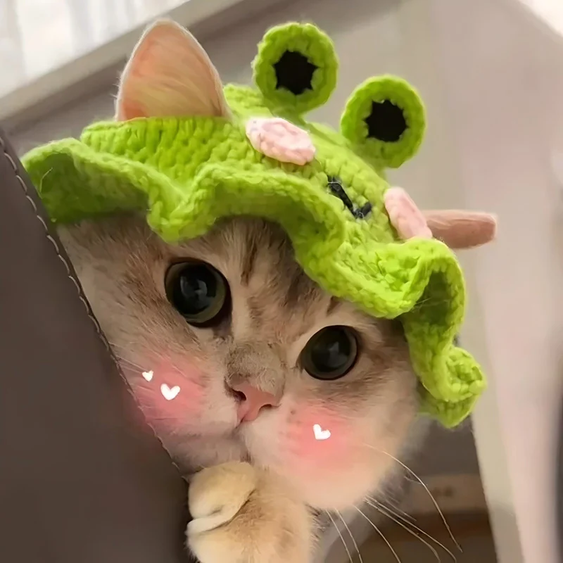 Chapéu de Malha para Gatos e Cães Pequenos para Fotos e Festas - Imagem 3