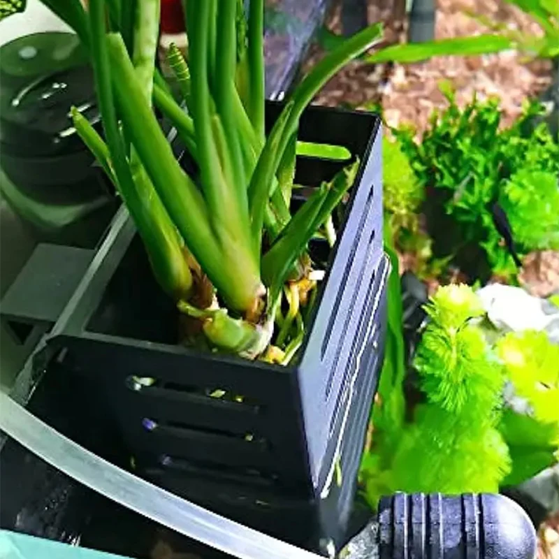 Cesto de Plástico para Aquário 12.9x8x5.4cm para Plantas Aquáticas - Imagem 4