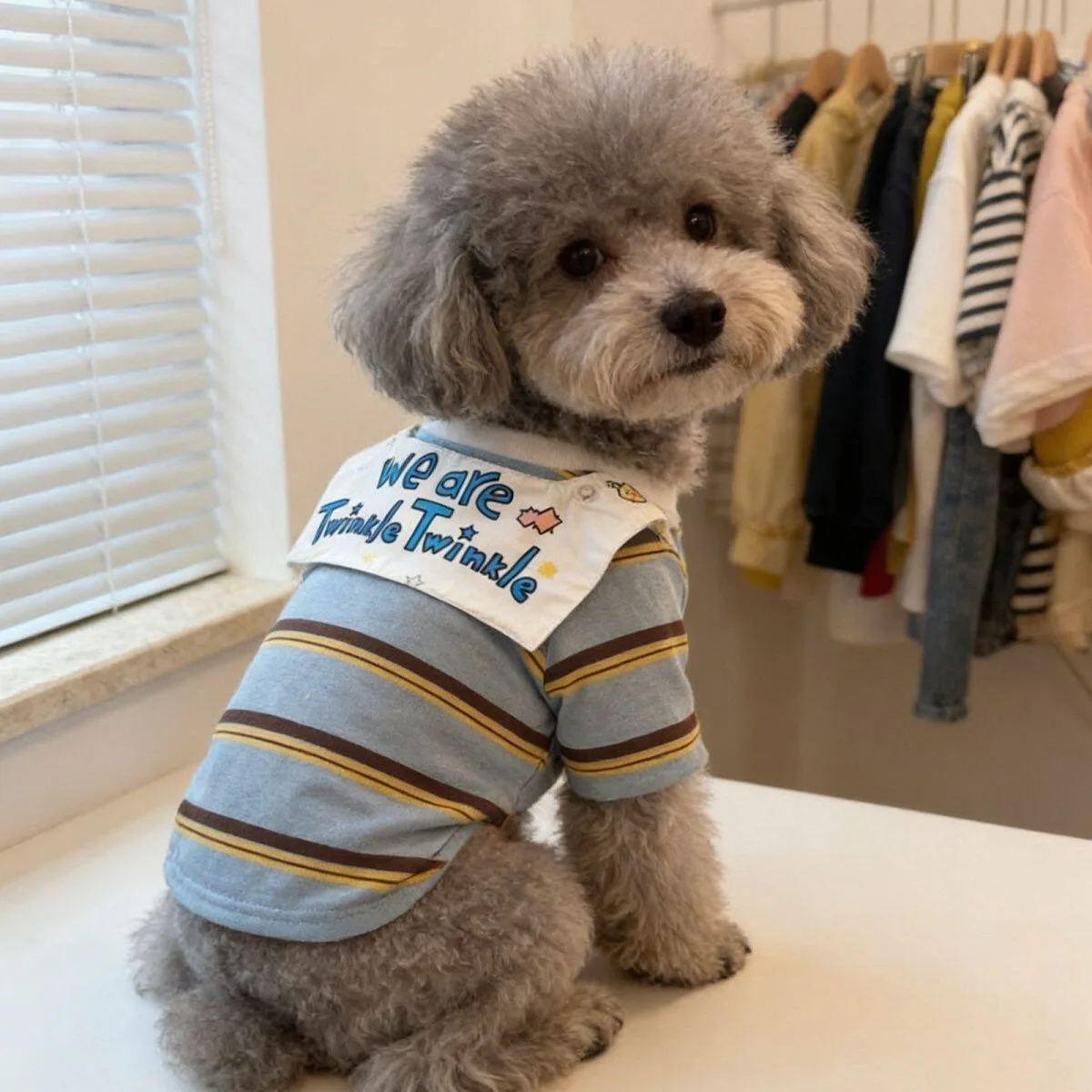 Roupa para Cães Pequenos Azul de Poliéster com Proteção de Pelos - Image 2