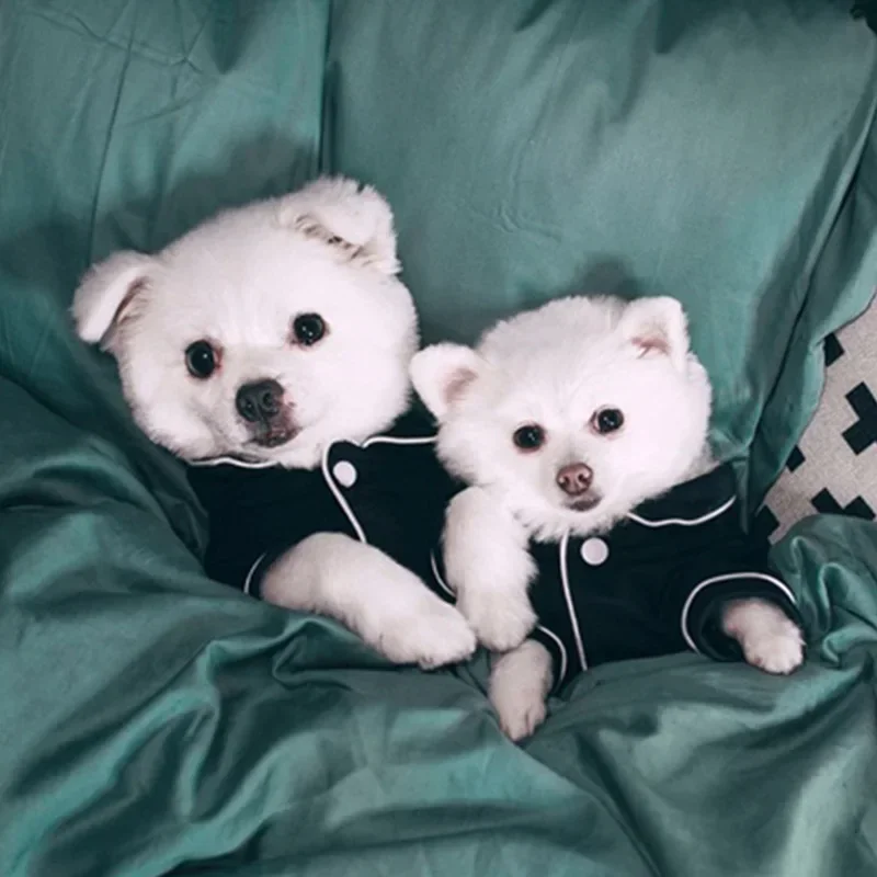 Pijama para Cães Pequenos Roupa de Verão Leve - Imagem 3