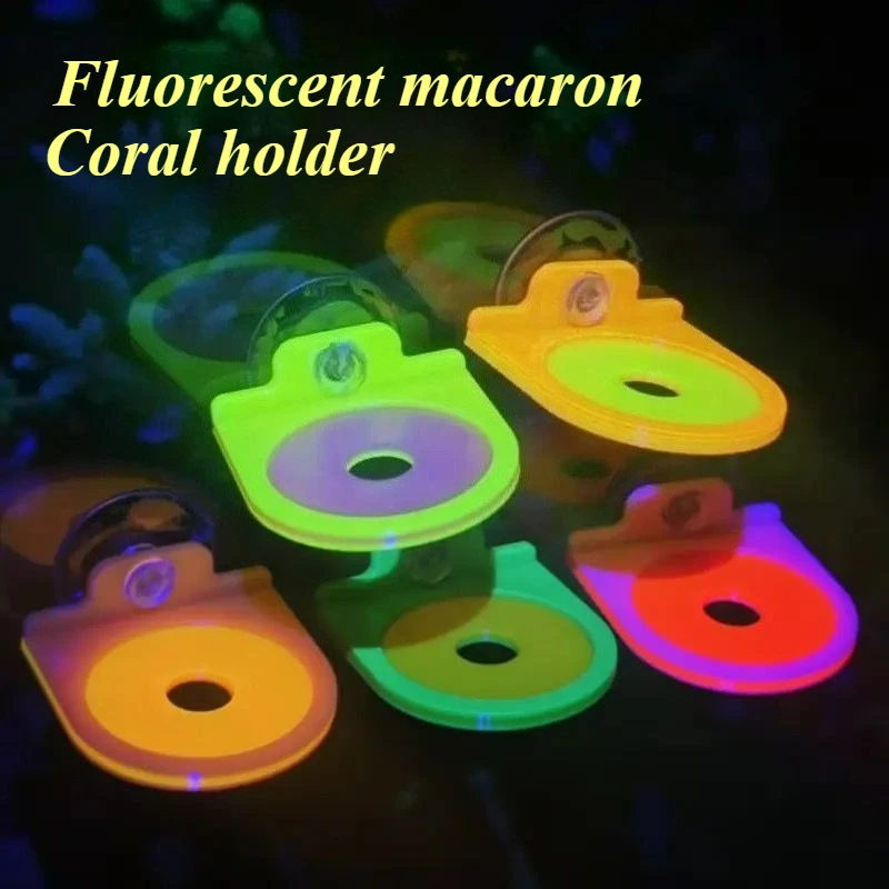 Suporte Coral SPS 3D PLA para Aquário 4x4 cm Furo 1,5 cm - Imagem 4