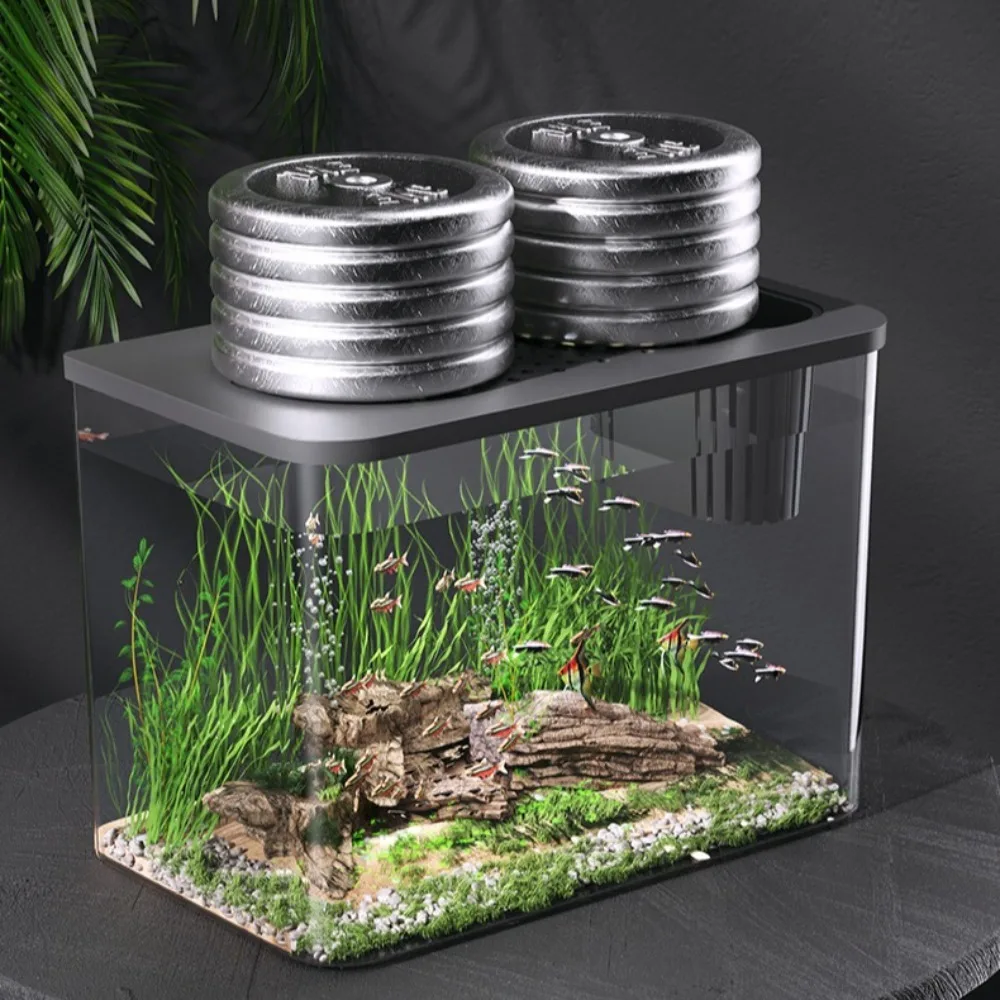 Aquário para Tartarugas de PET+ABS Transparente com Tampa e Orifício de Alimentação - Imagem 2