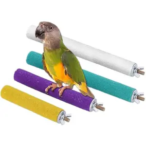 poleiro de brinquedo para pássaros