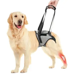 arnês de elevação para cães grandes