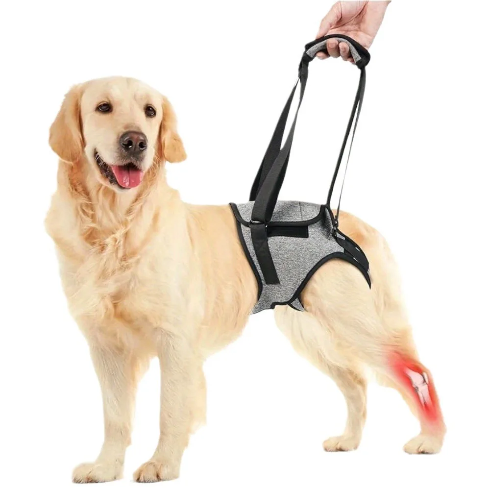 arnês de elevação para cães grandes
