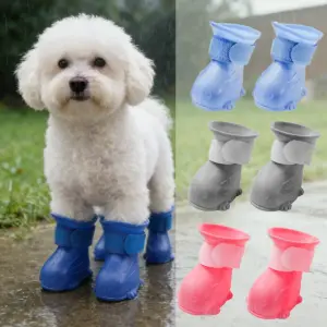 botas de chuva para cães e gatos