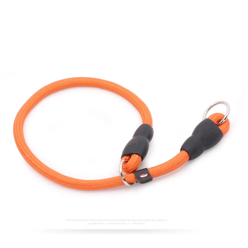 Coleira P para Cães de Nylon com Corrente para Treinamento - Image 6