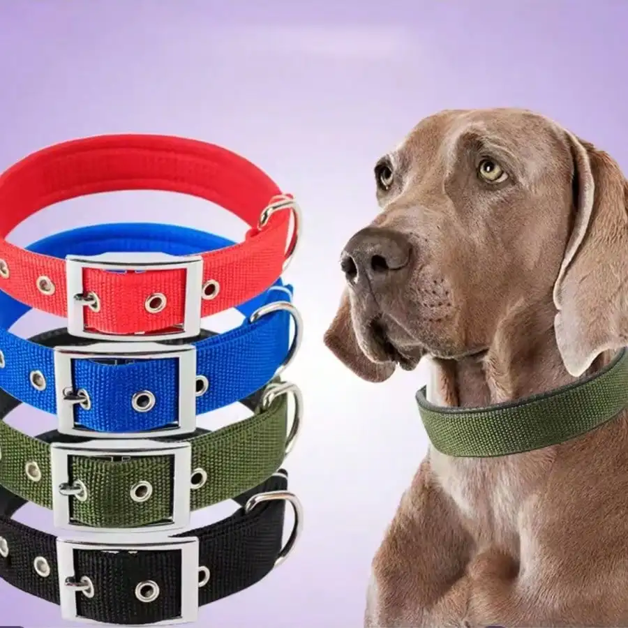 Coleira de Nylon para Cães com Forro Macio e Ajustável - Imagem 2