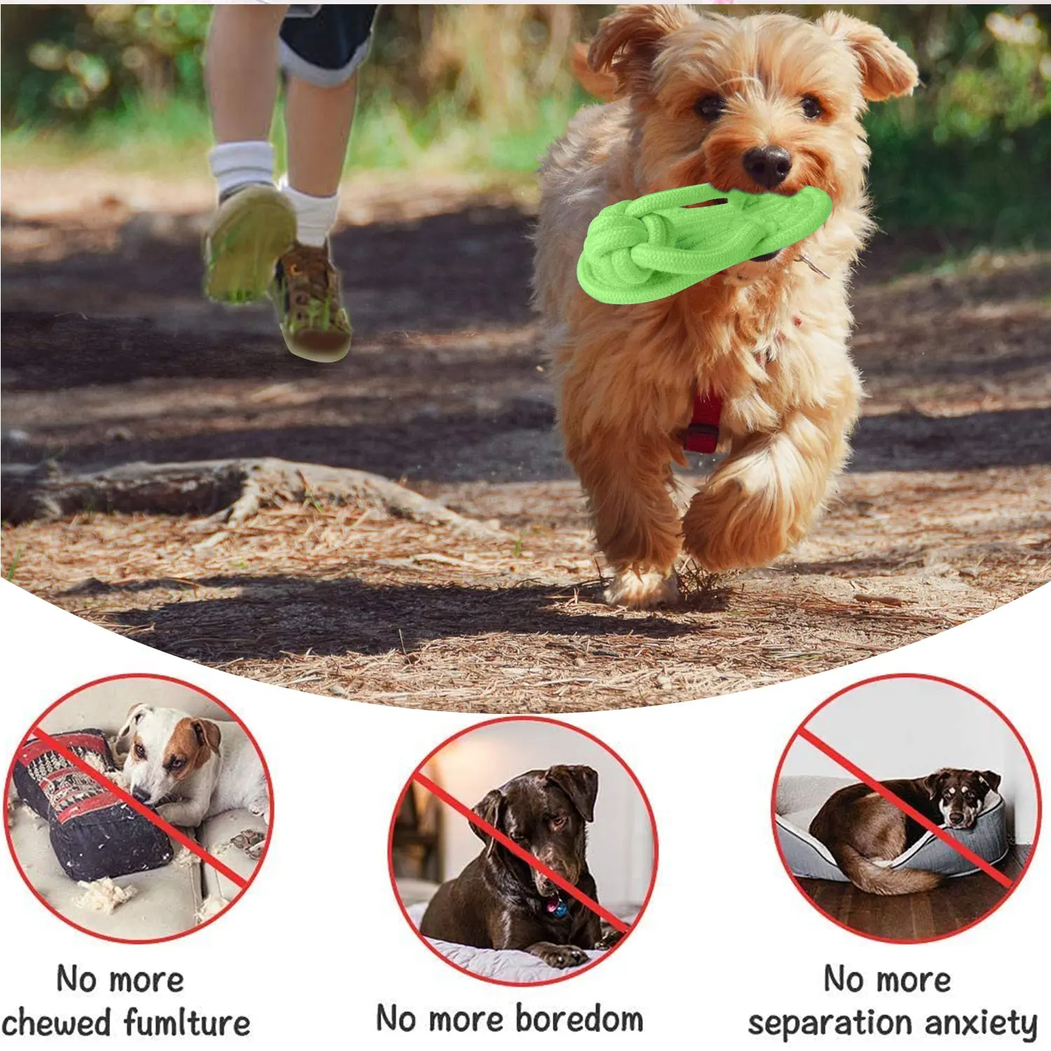 Brinquedo de Mastigar para Cães de Corda de Algodão em Formato de Chinelo - Imagem 6