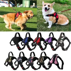 peitoral ajustável para cães