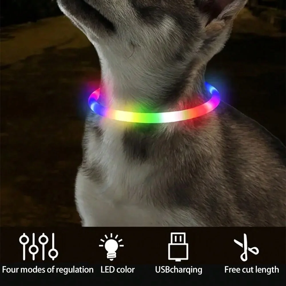 Coleira Luminosa para Cães com Comprimento Ajustável para Passeios - Imagem 3