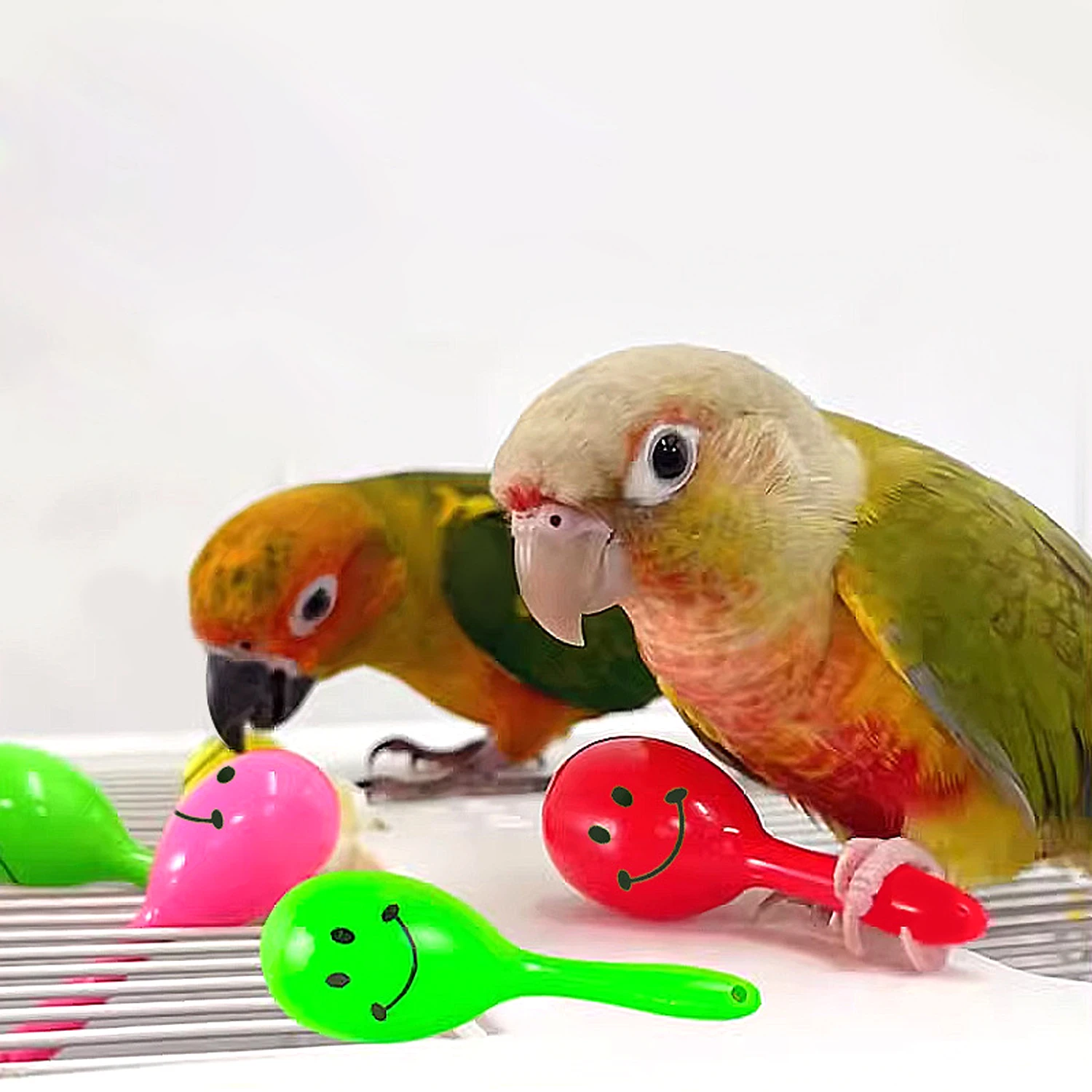 Chocalho para Pássaros de Plástico com 5 Peças Cores Sortidas - Imagem 3