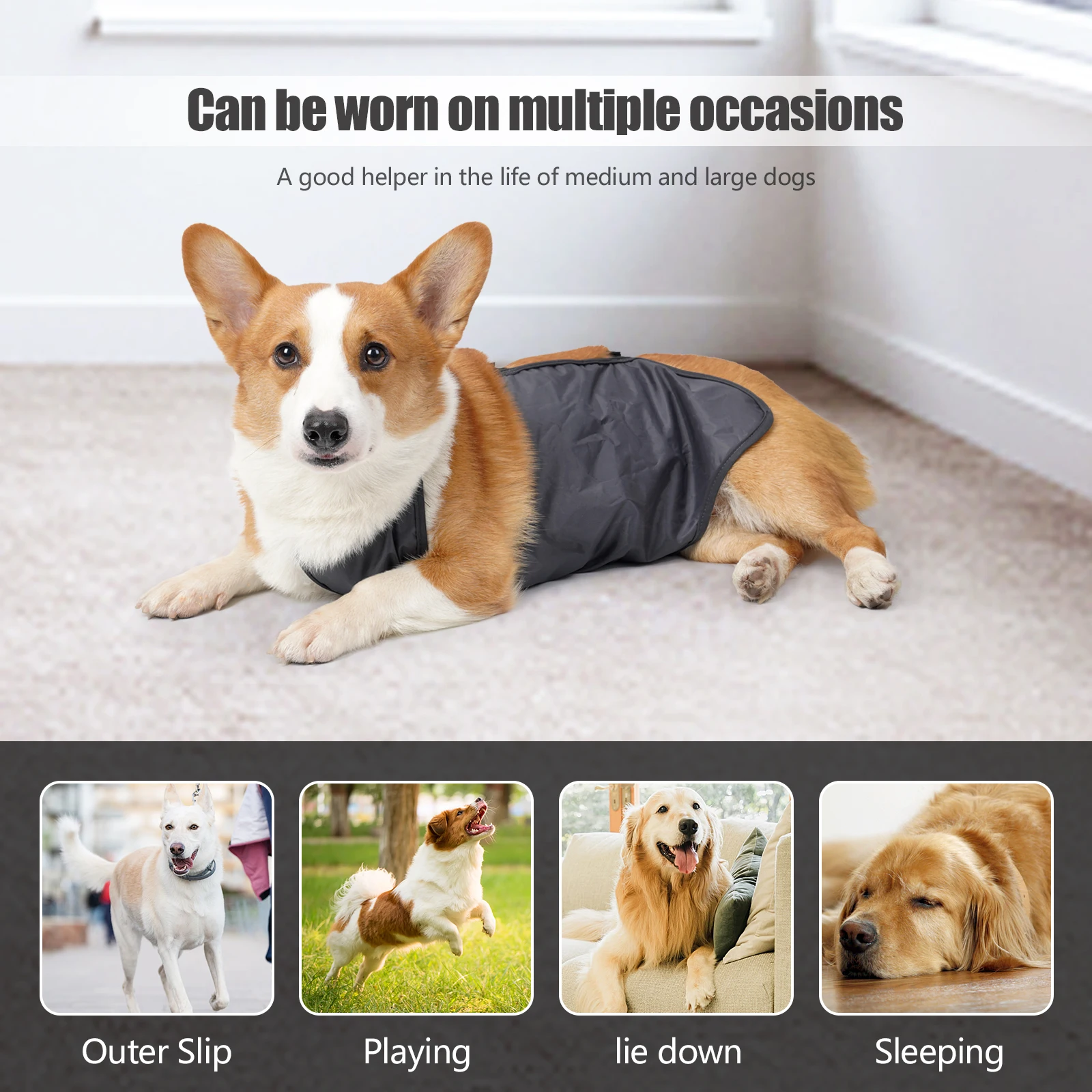 Roupa para Cães Filhotes Impermeável com Bolso Lavável - Imagem 6