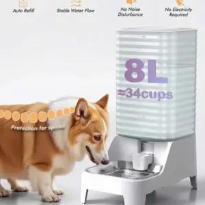bebedouro automático por gravidade para cães e gatos