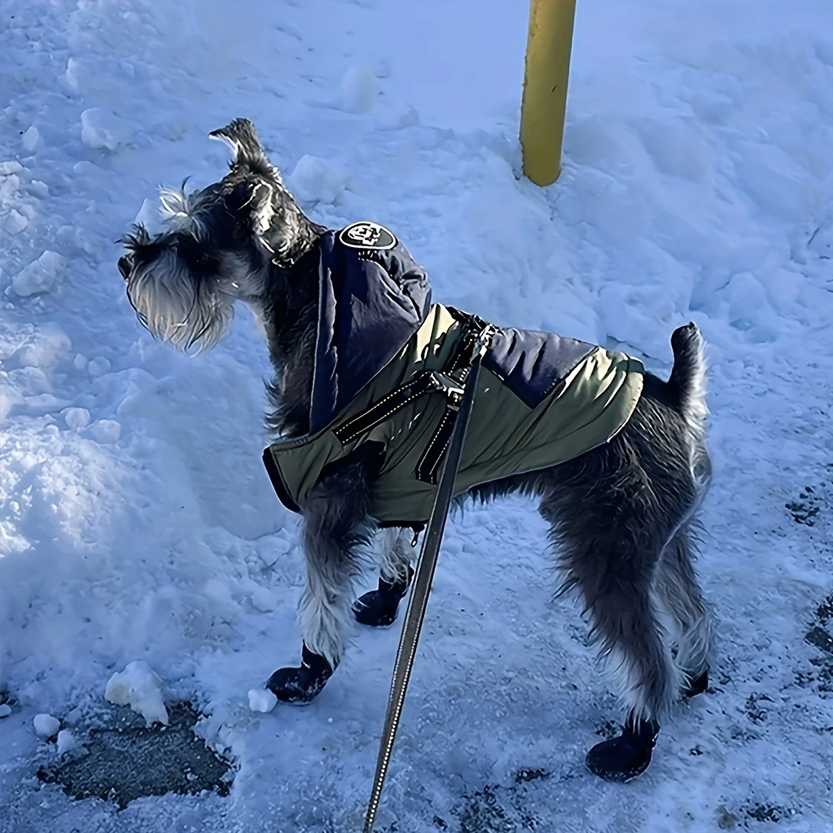Botas de Chuva para Cães Pequenos e Médios Antiderrapantes - Image 3